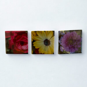 IMG_9125 – Edited 3 Custom 2x2-Inch Magnets Package