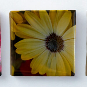 IMG_9125 – Edited 1 Custom 2x2-Inch Magnet Package