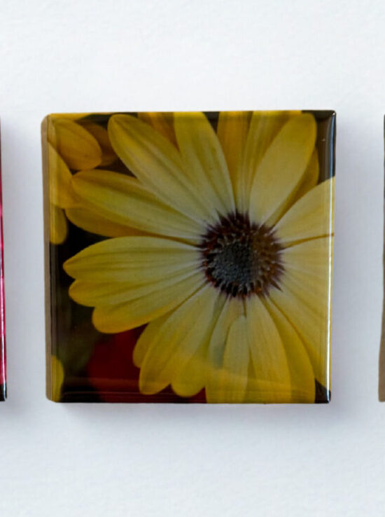 1 Custom 2x2-Inch Magnet Package